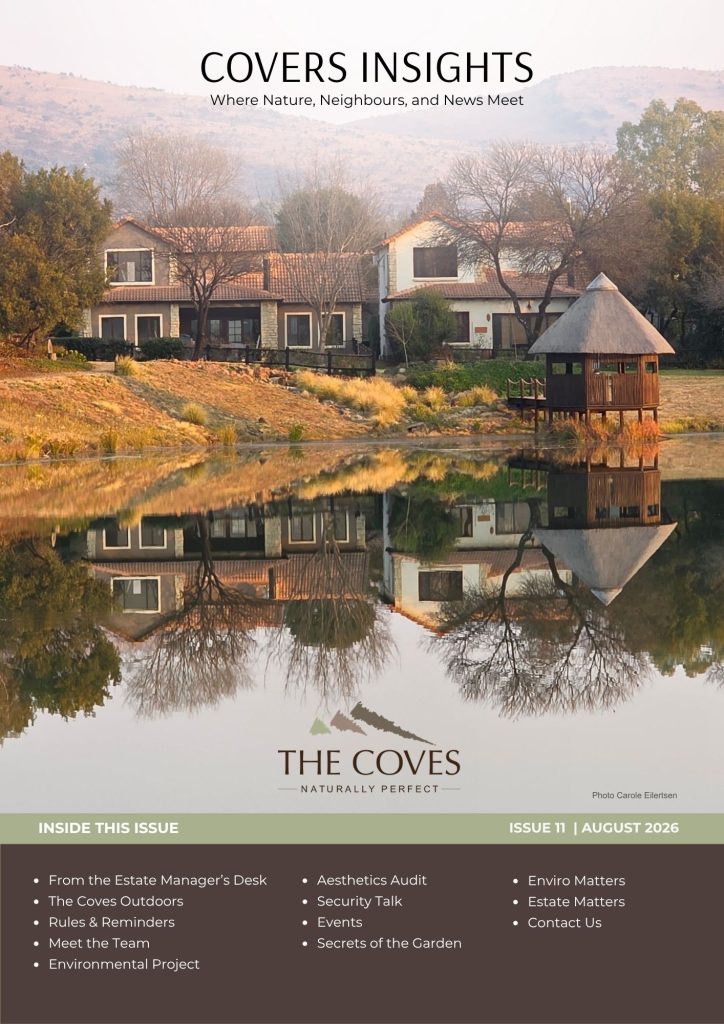 The Coves Insights Newsletter August